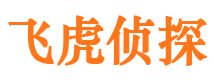 江阳市调查公司